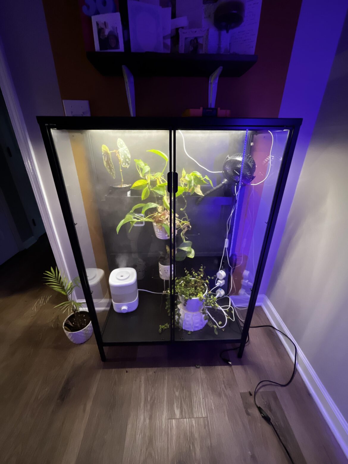 Greenhouse supply help! Greenhouse supply help!