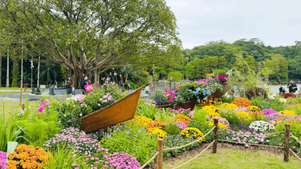 Autumn flower bonanza at Shenzhen’s Fairy Lake Botanical Garden