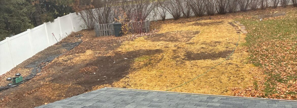 To seed or not to seed
