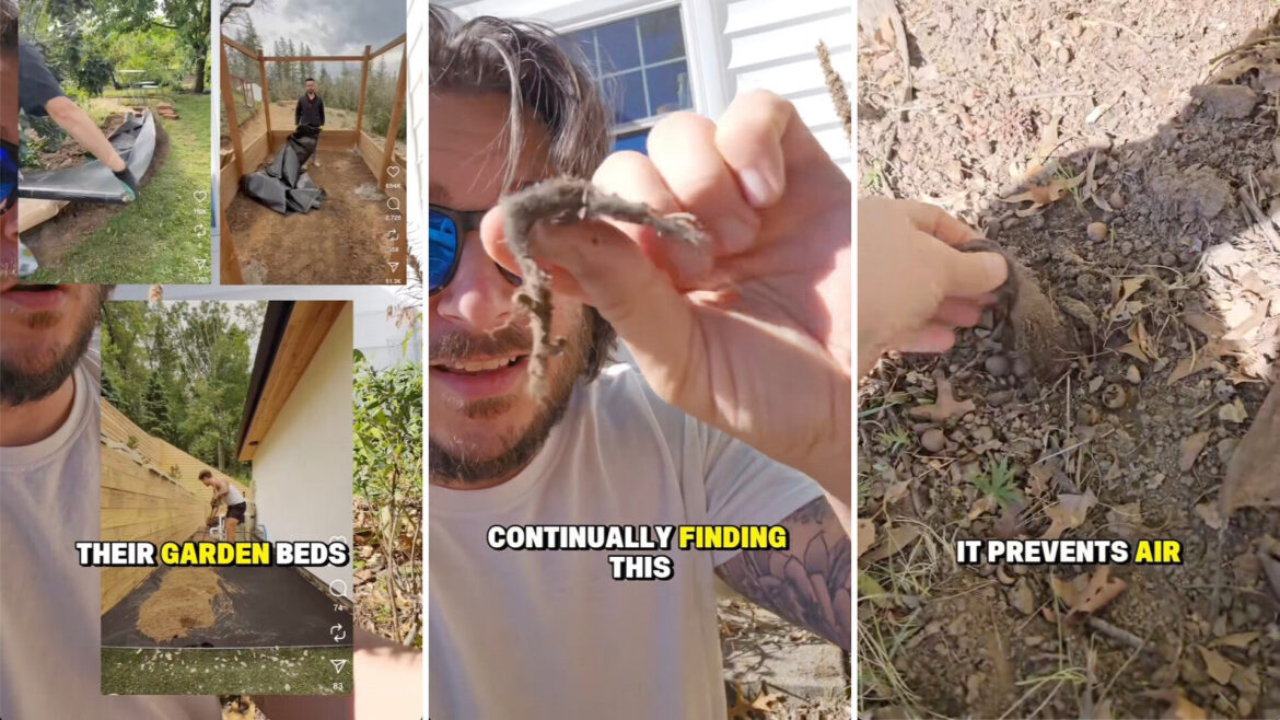 A gardener on TikTok shared a brief but informative rant about the detrimental impact of landscape fabric.