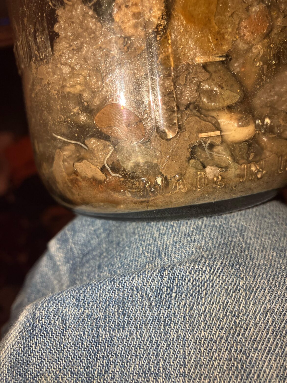 Whatever they are, they MOVED