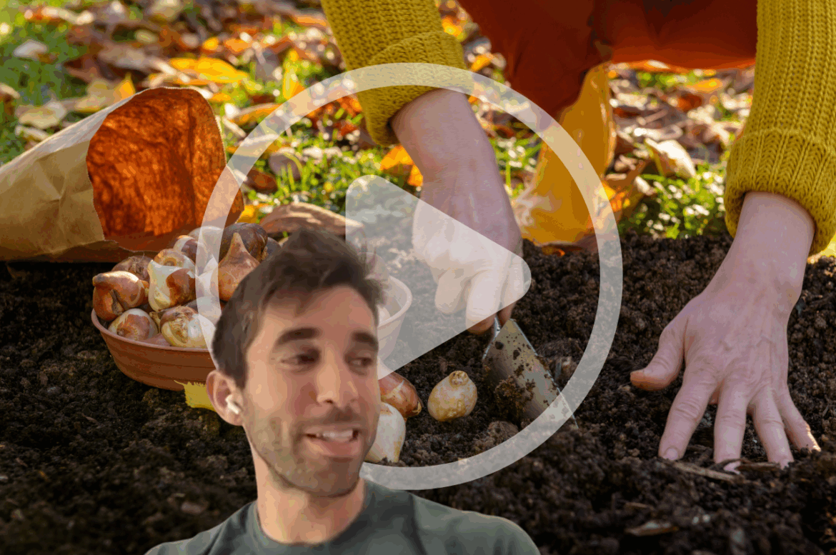 Gardening in the Fall with Farmer Nick – Mother Earth News Gardening in the Fall with Farmer Nick – Mother Earth News