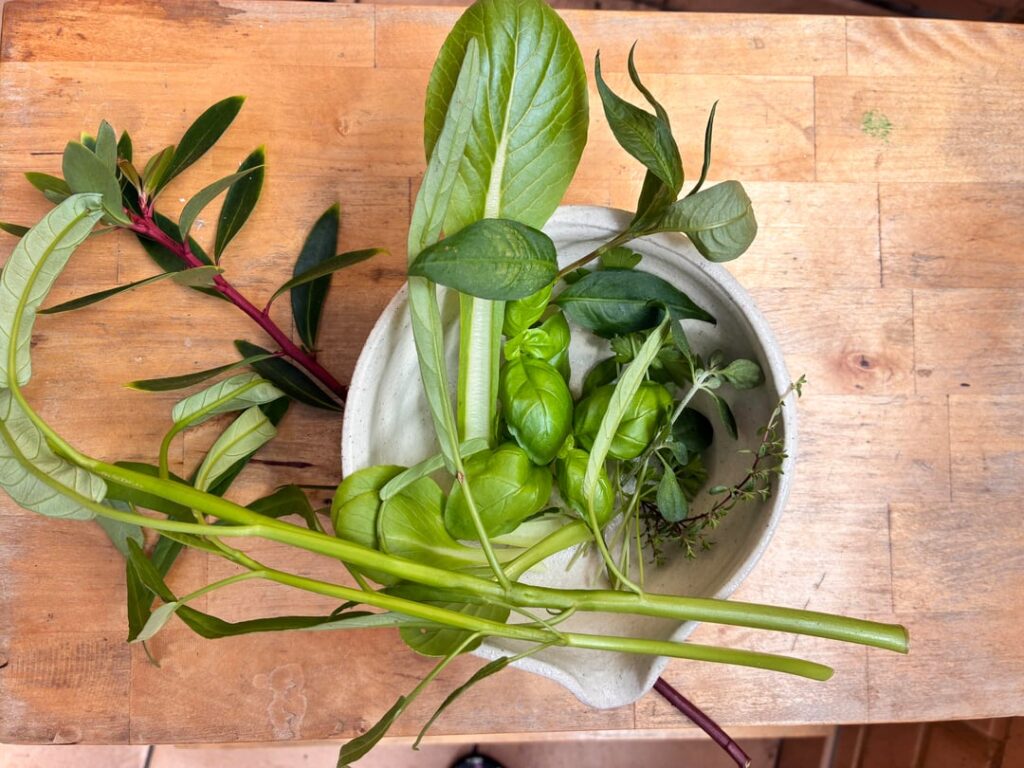 First mini-harvest from balcony garden
