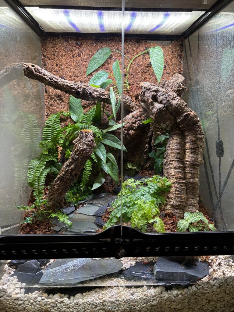 Forest Replica with Stream