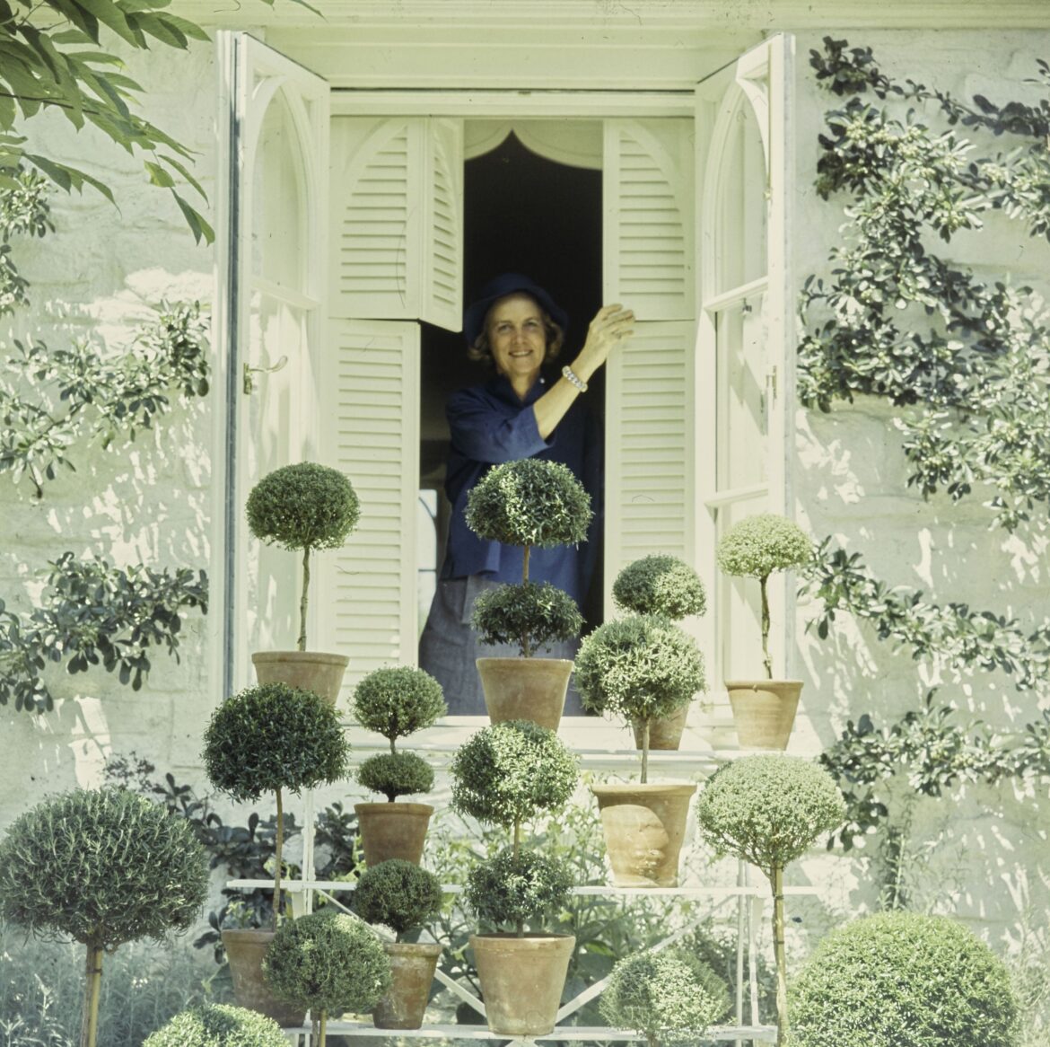 Bunny Mellon: The Truman Capote ‘Swan’, muse and horticulturalist whose creations for The White House were recently lost forever Bunny Mellon: The Truman Capote ‘Swan’, muse and horticulturalist whose creations for The White House were recently lost forever
