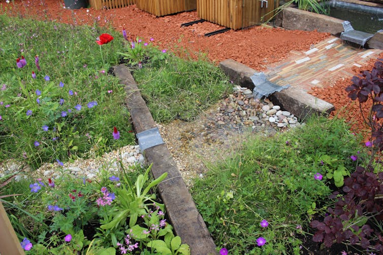 A driveway with a mix of plants next to it.