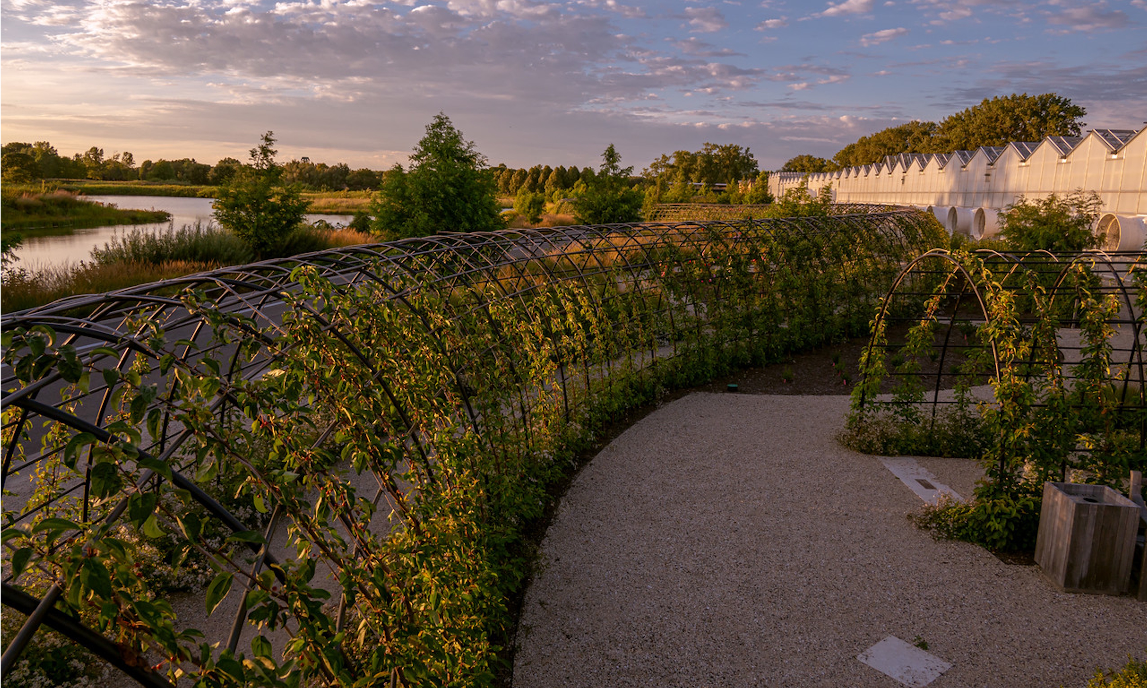 Chicago Botanic Garden's Shida Garden crap apple tunnels