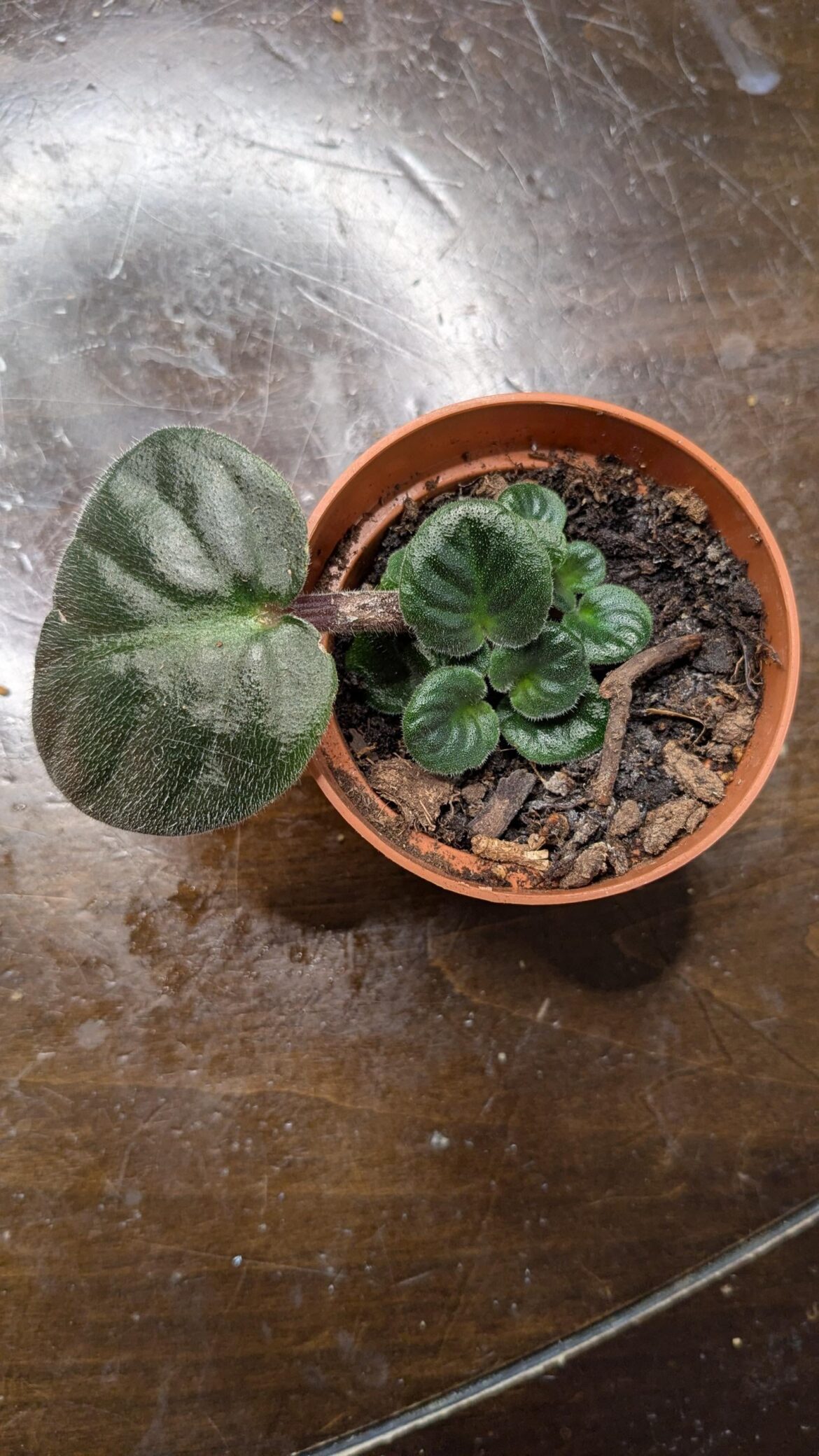 When to separate?