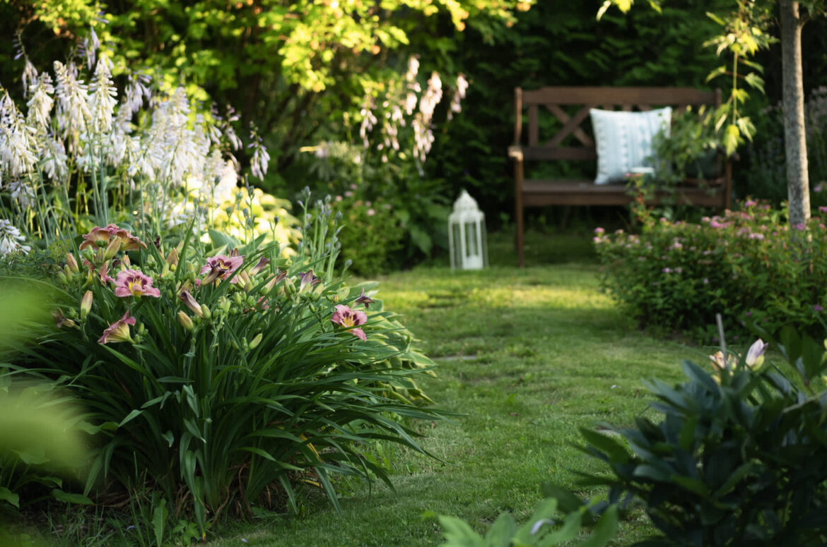One gardener found an unexpected surprise in her garden — a friendly frog.