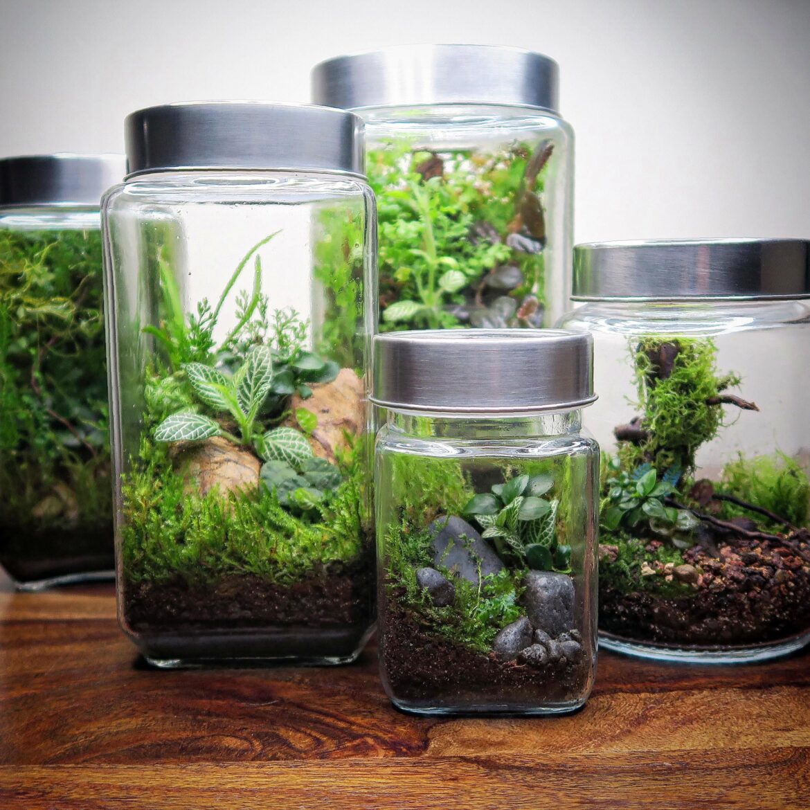 Forests in jars
