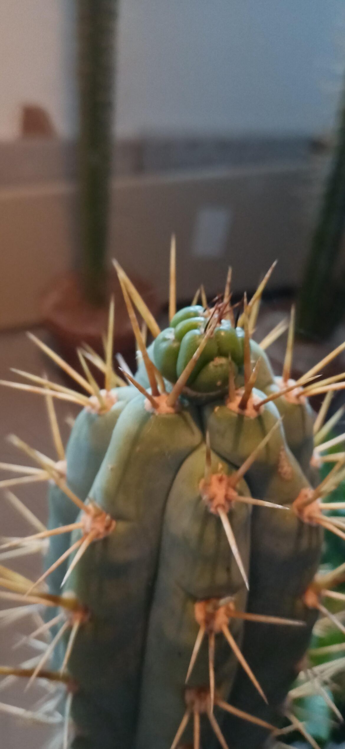 What is happening here?