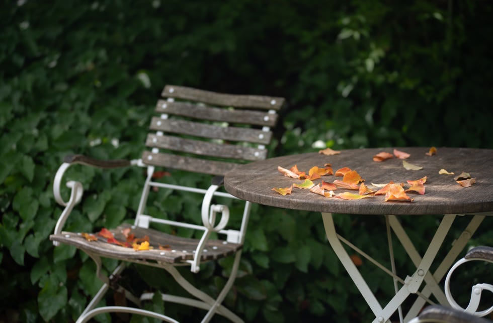 in autumn, garden furniture is left outside. autumn leaves have fallen on the table and chairs. a green hedge can be seen in the background.