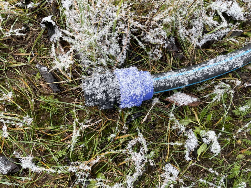 a captivating winter photograph showing a garden hose completely frozen after exposure to the frigid cold.