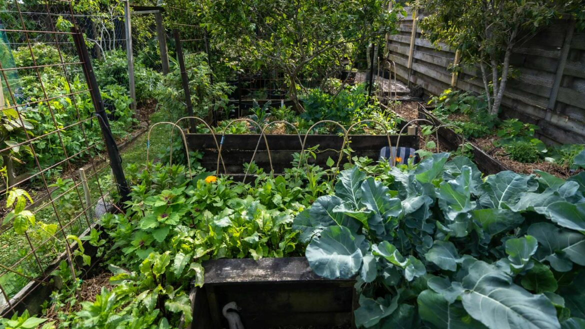 Garden Trail Garden 2