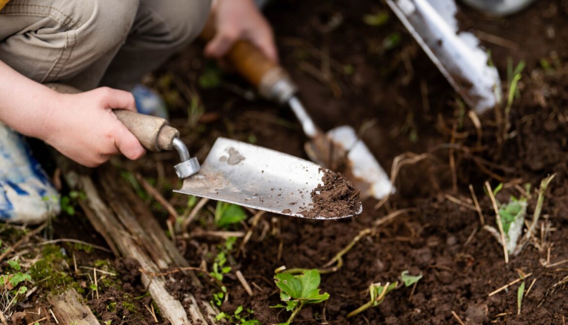 One TikTok user shared a simple way to ensure you always have fresh garlic on hand.