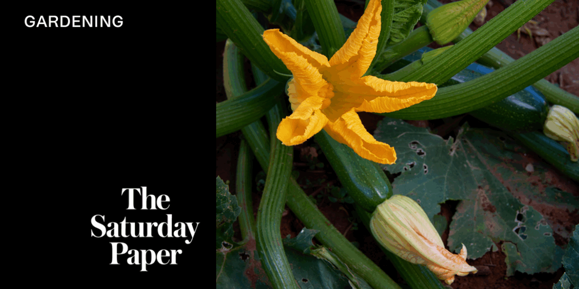 End-of-life questions in the garden End-of-life questions in the garden