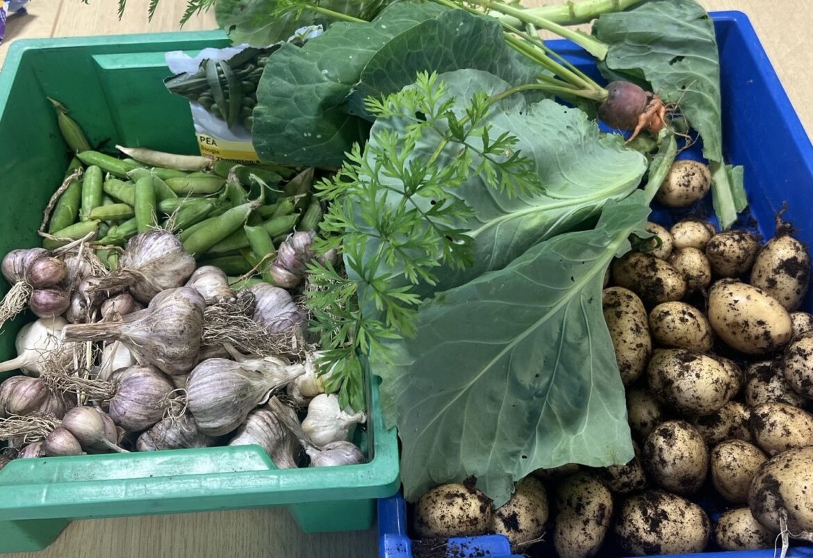 Broughton residents take part in community gardening group Broughton residents take part in community gardening group