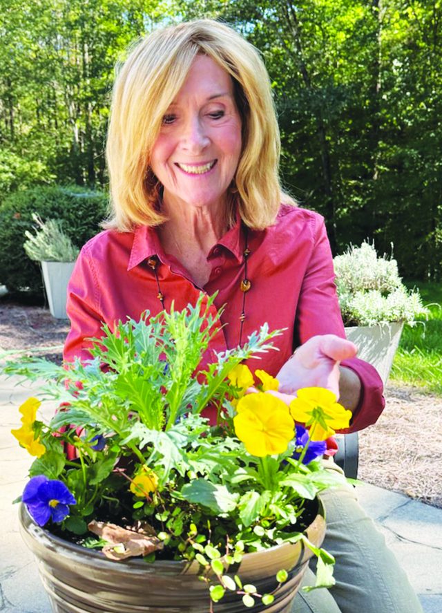 Bermuda Run Garden Club members bring home 68 ribbons from fair Bermuda Run Garden Club members bring home 68 ribbons from fair