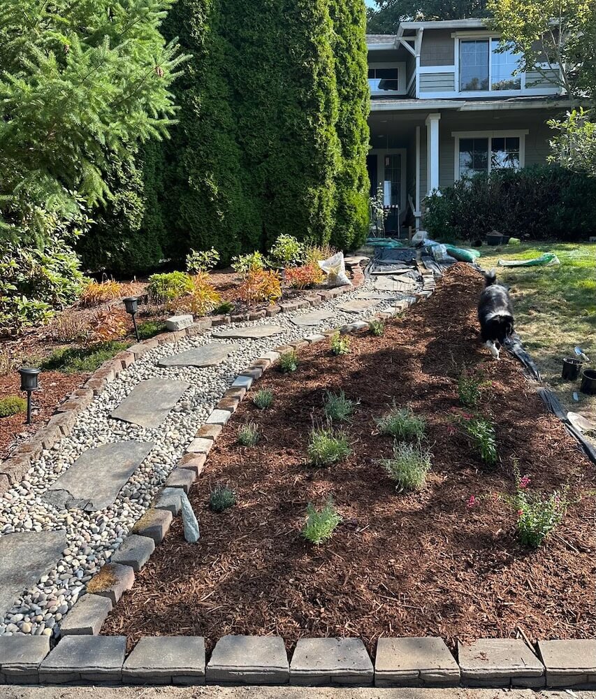 One Redditor shared dramatic before-and-after photos of their front lawn as they transitioned to sustainable landscaping.