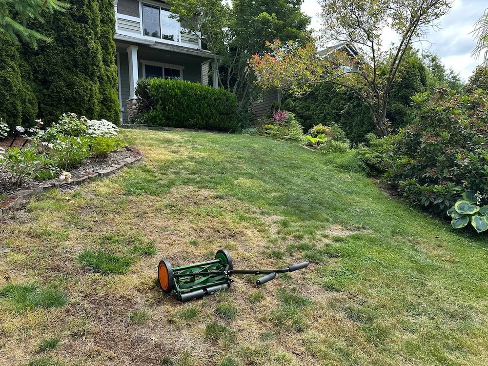 One Redditor shared dramatic before-and-after photos of their front lawn as they transitioned to sustainable landscaping.