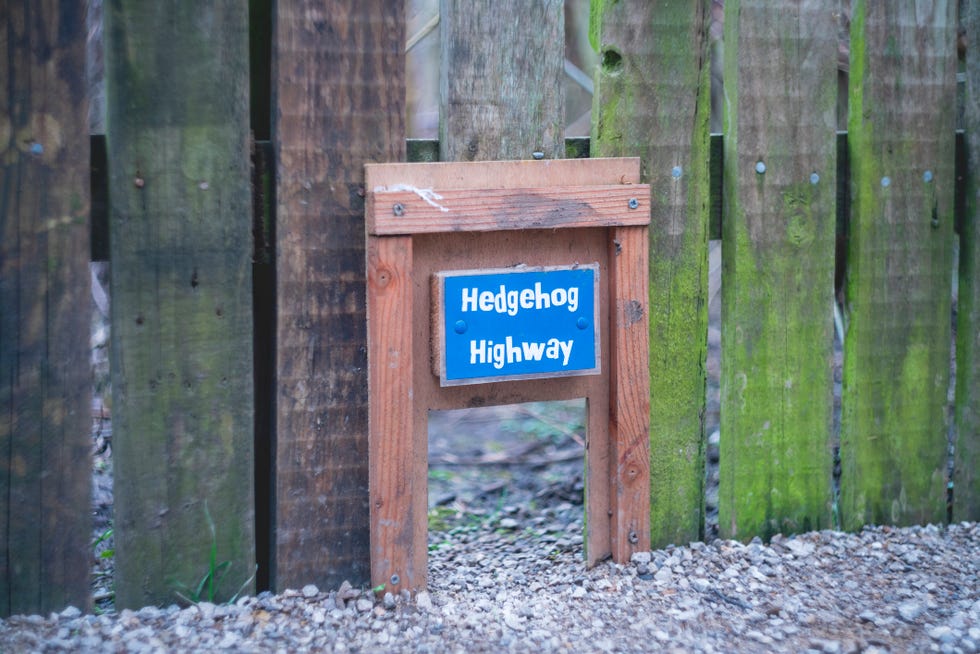 hedgehog gate at a local nature reserve in west yorkshire