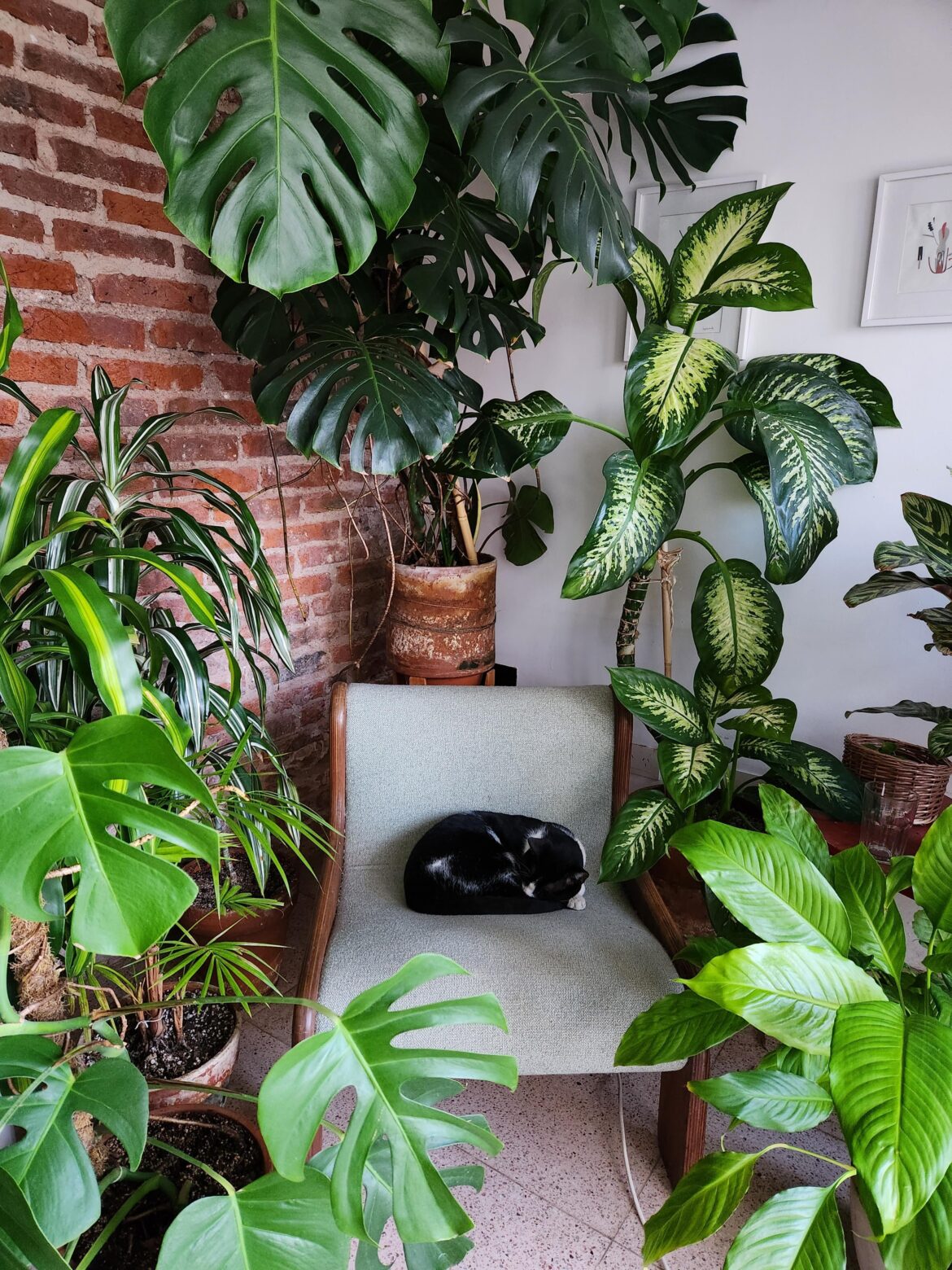 Friday sleeping spot