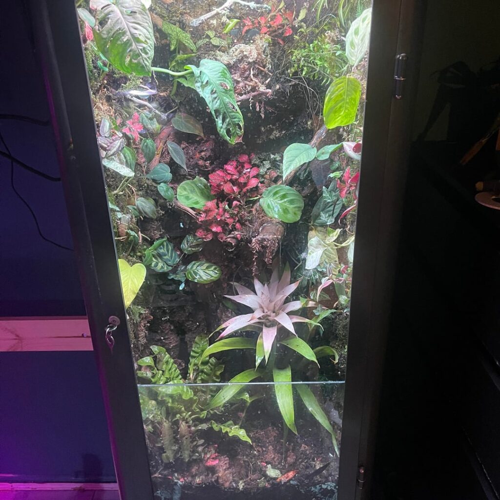 Is there any way I can improve the look of this tank?