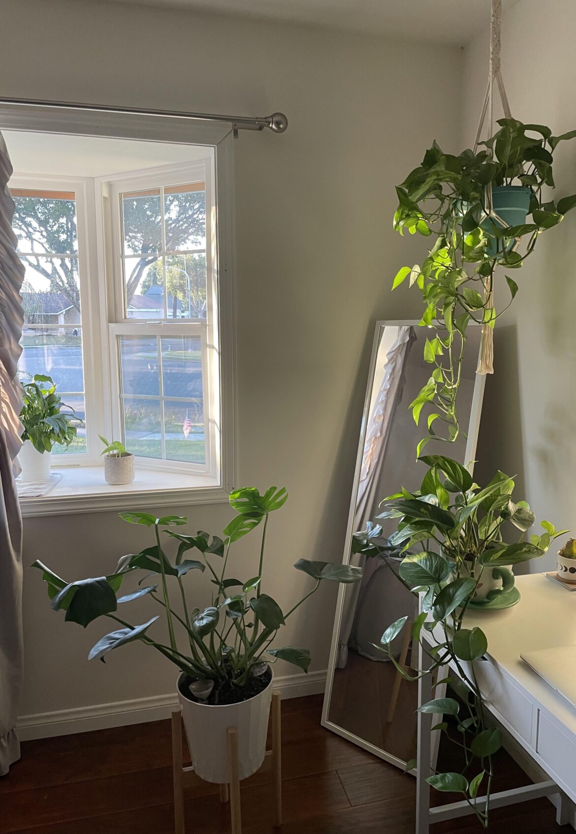 I wanted to share the anniversary of when I first got my plants