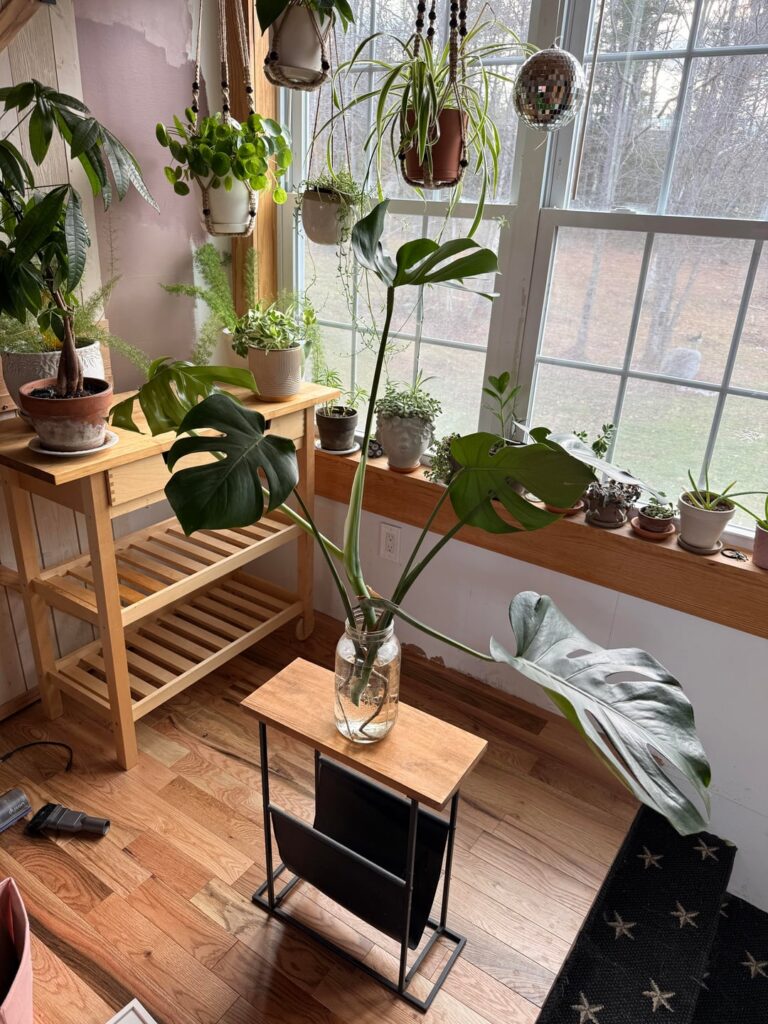 Did I just make a huge mistake?