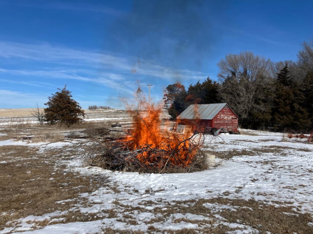 Am I a "real homesteader" yet?