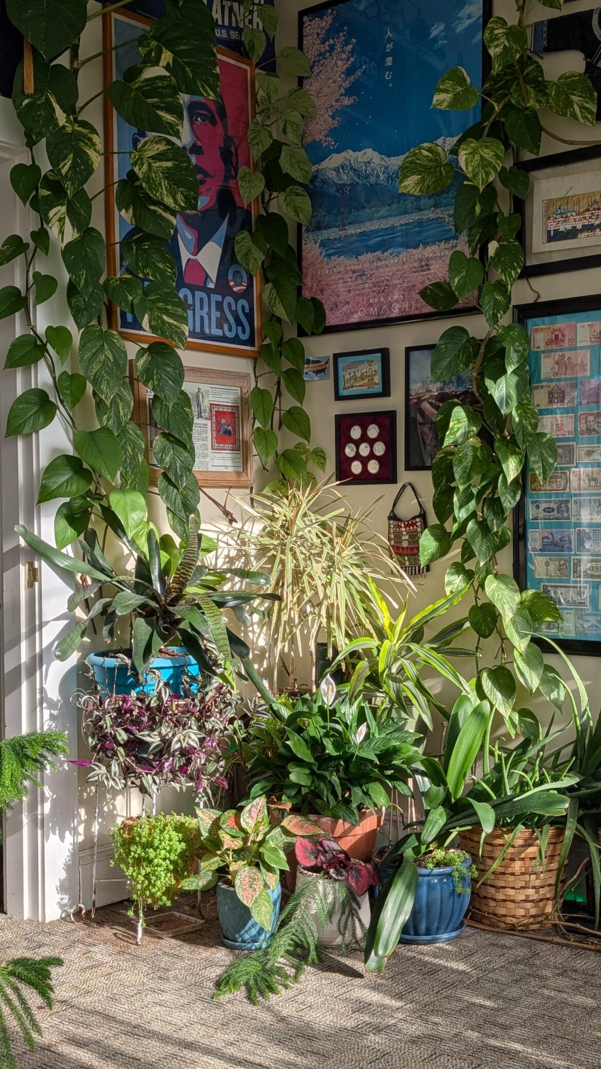 Morning Sun in the Corner