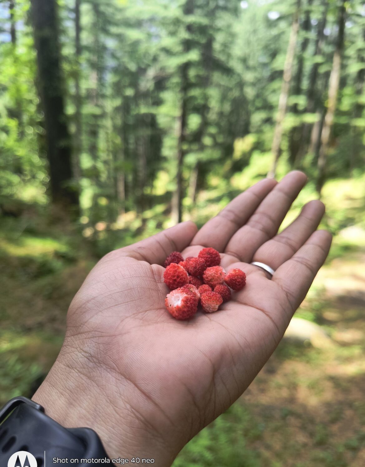 Do you know the name of this?