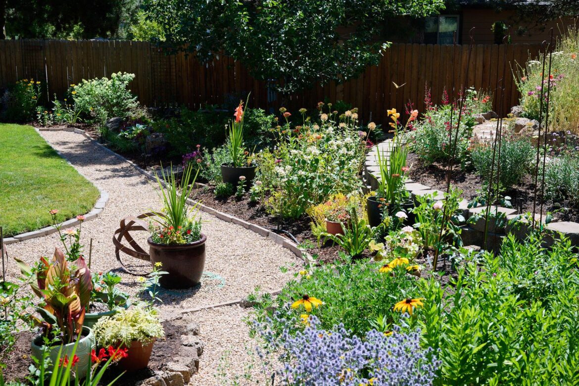 A colorful garden filled with flowers, potted plants, and a gravel pathway winds through a sunny yard bordered by a wooden fence.