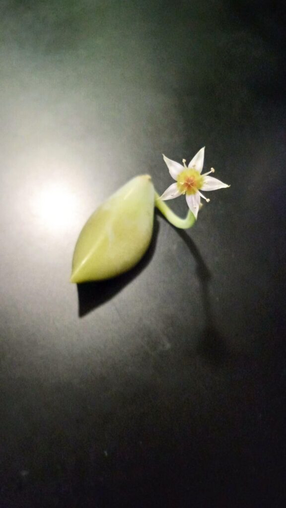 Just wanted to share