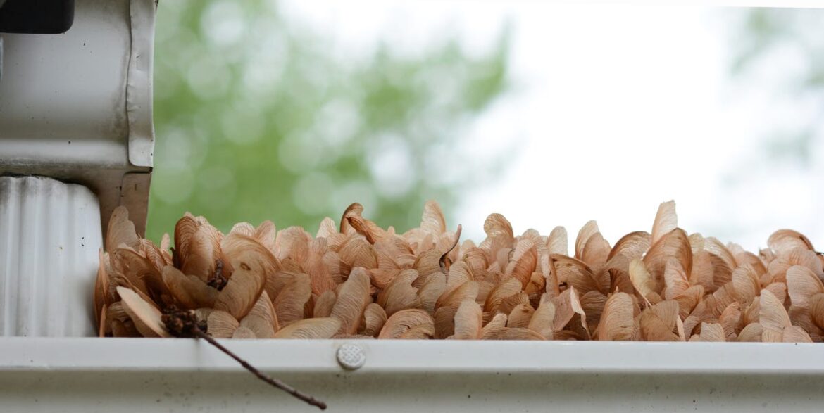 The One Chore You MUST Do to Stop Leaks, Rot, Pests This Winter The One Chore You MUST Do to Stop Leaks, Rot, Pests This Winter