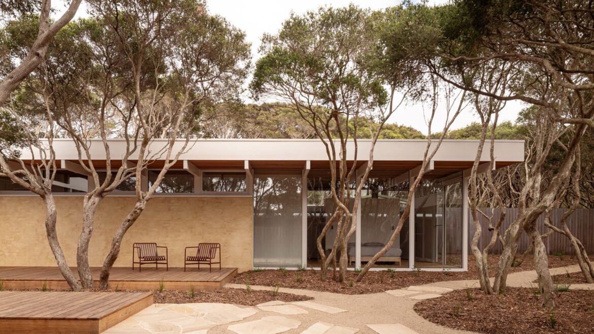 MGAO centres 1950s Anglesea beach house around courtyard garden House in Anglesea rear courtyard garden