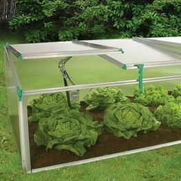 Trading Juwel Biostar - 1500 Premium Cold Frame