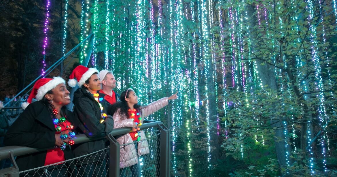 Holiday lights shine at Atlanta Botanical Garden – 95.5 WSB
