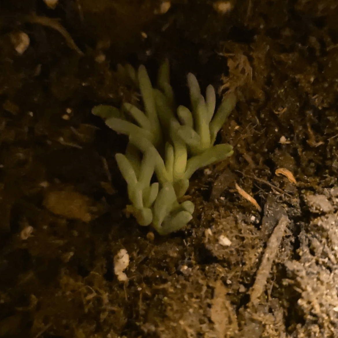 ID help? Context and info in comments.
