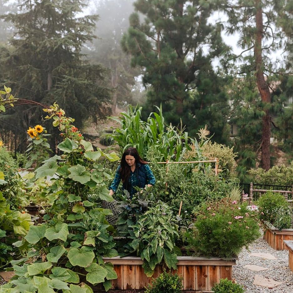 Kitchen Garden Living: Seasonal Growing and Eating From a Beautiful, Bountiful Food Garden