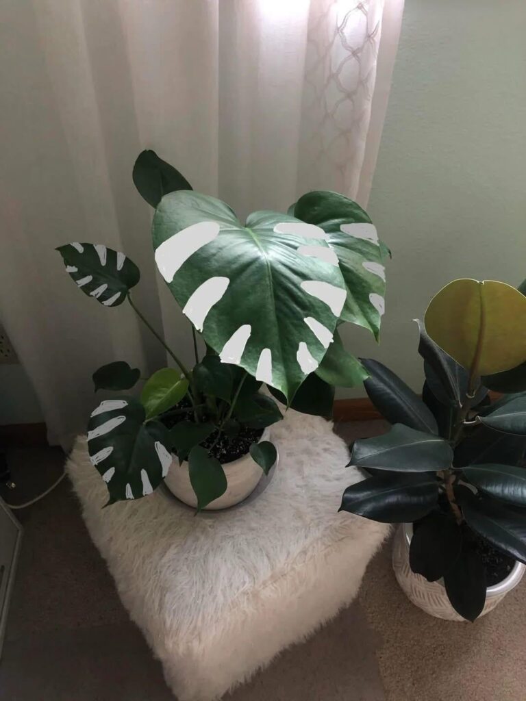 Look at my baby😍! Hard work paying off 🥴