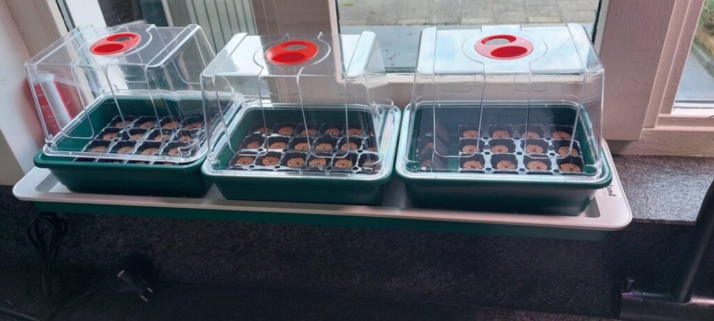 Bought a heated propagator from garland and eazy plugs. start in propagator and then decide: put it in soil or in hydrophonic. Best of both worlds!