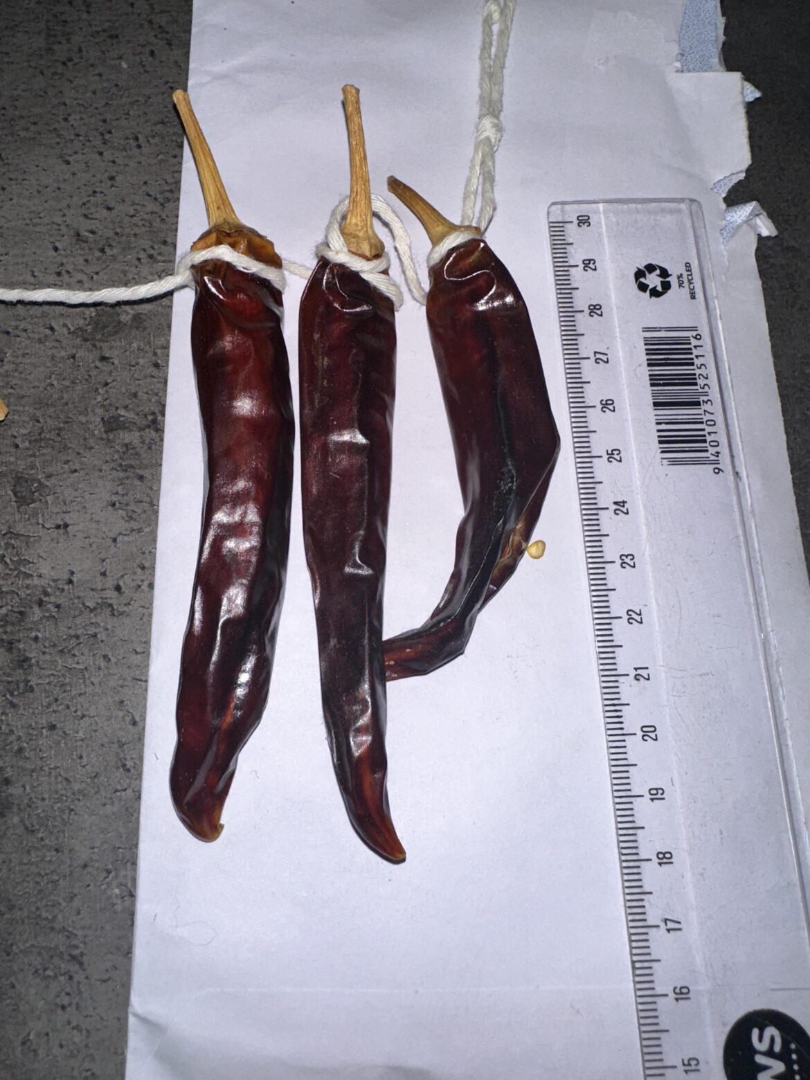 Identification help please 🌶️ Identification help please 🌶️