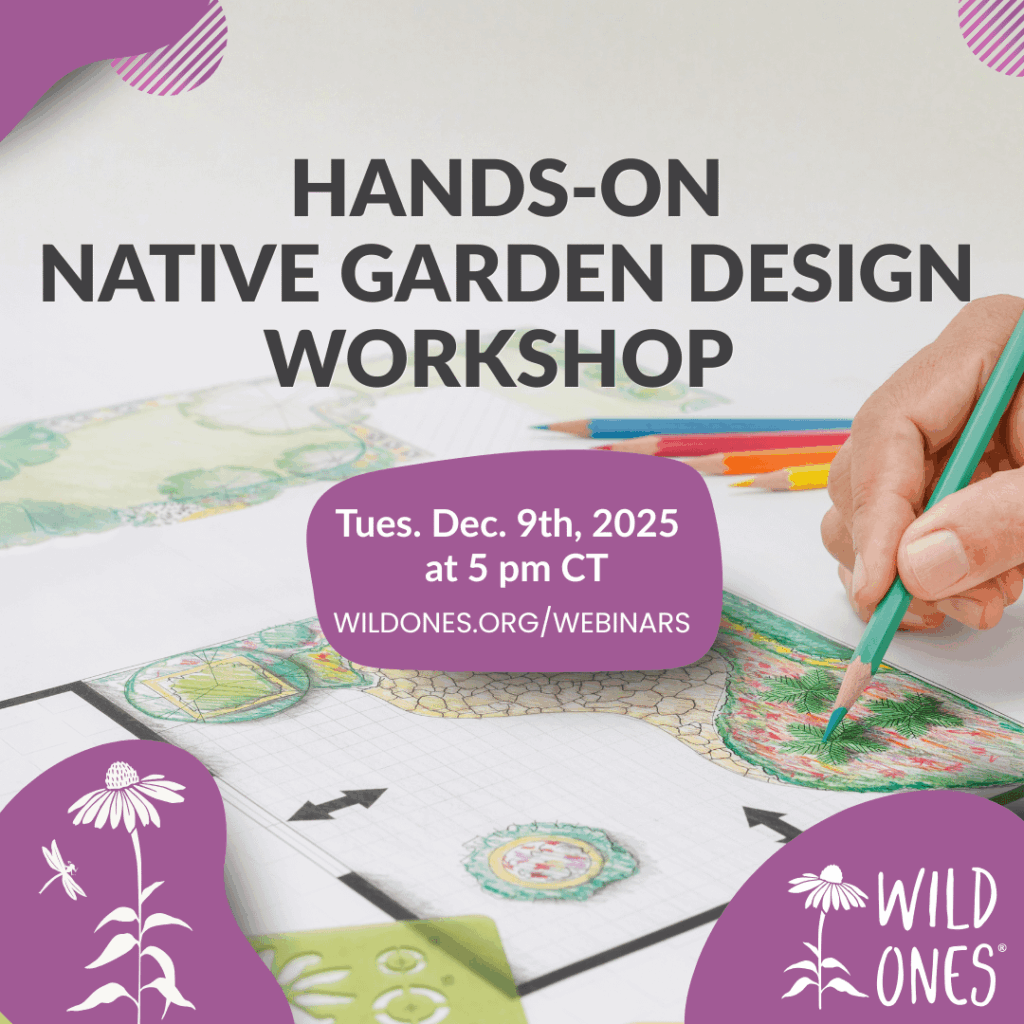 Wild Ones December 9 workshop “Turn That Patch Into a Plan"