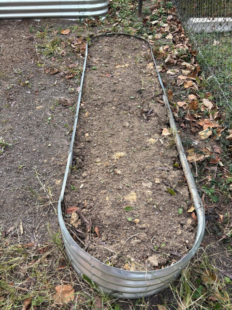 New to Gardening. House came with 2 garden beds. Not sure what to do