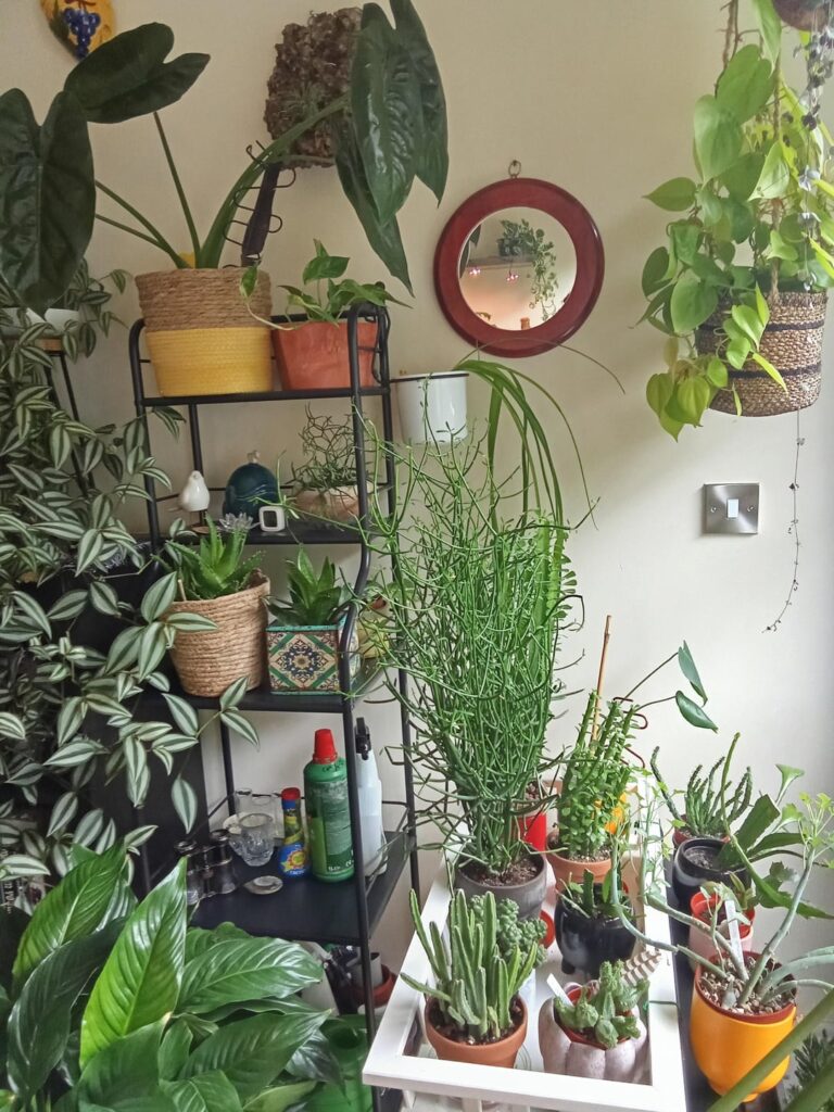 Welcome to my little kingdom.