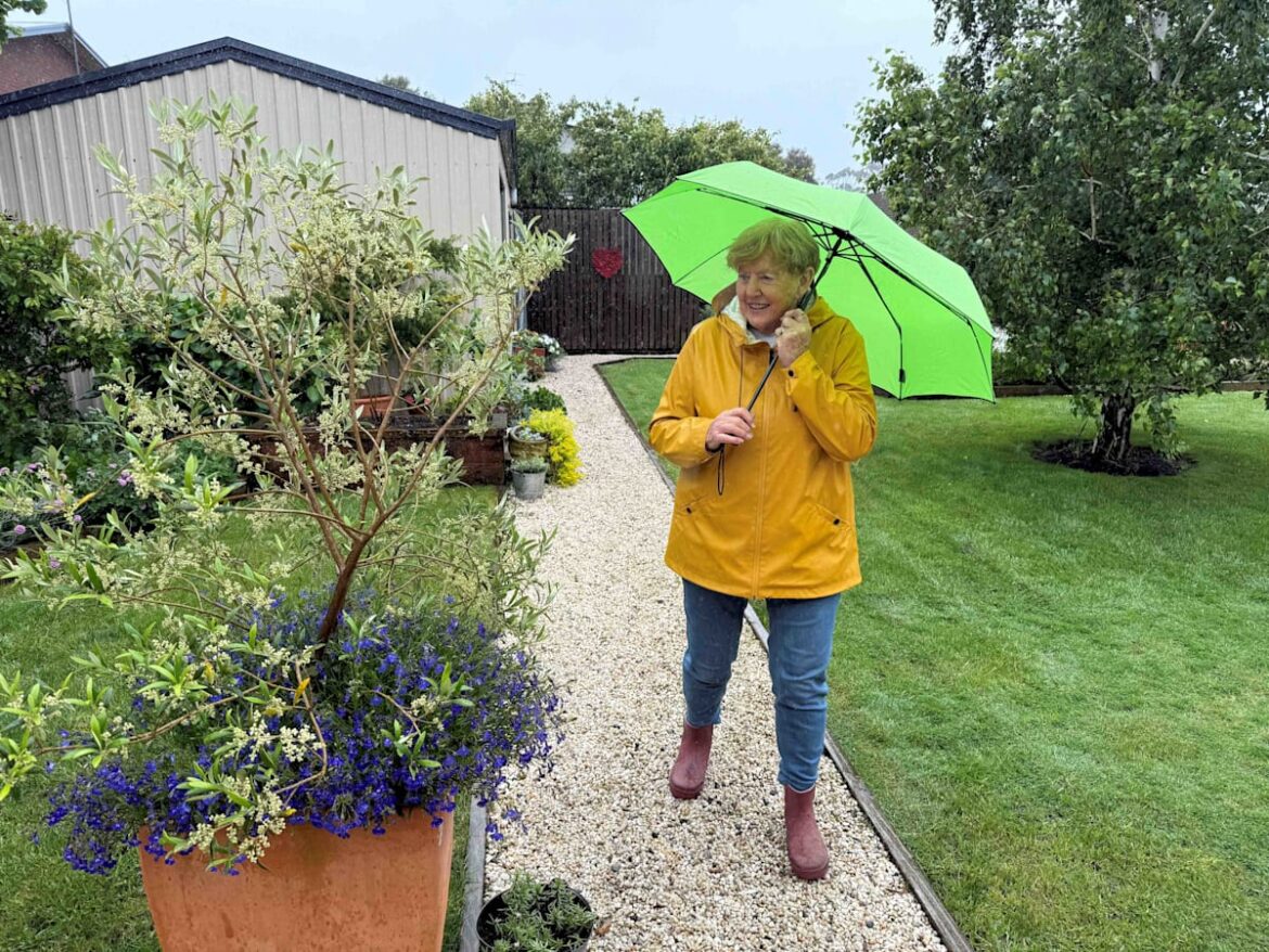 Great weather for gardens not so much visiting them!