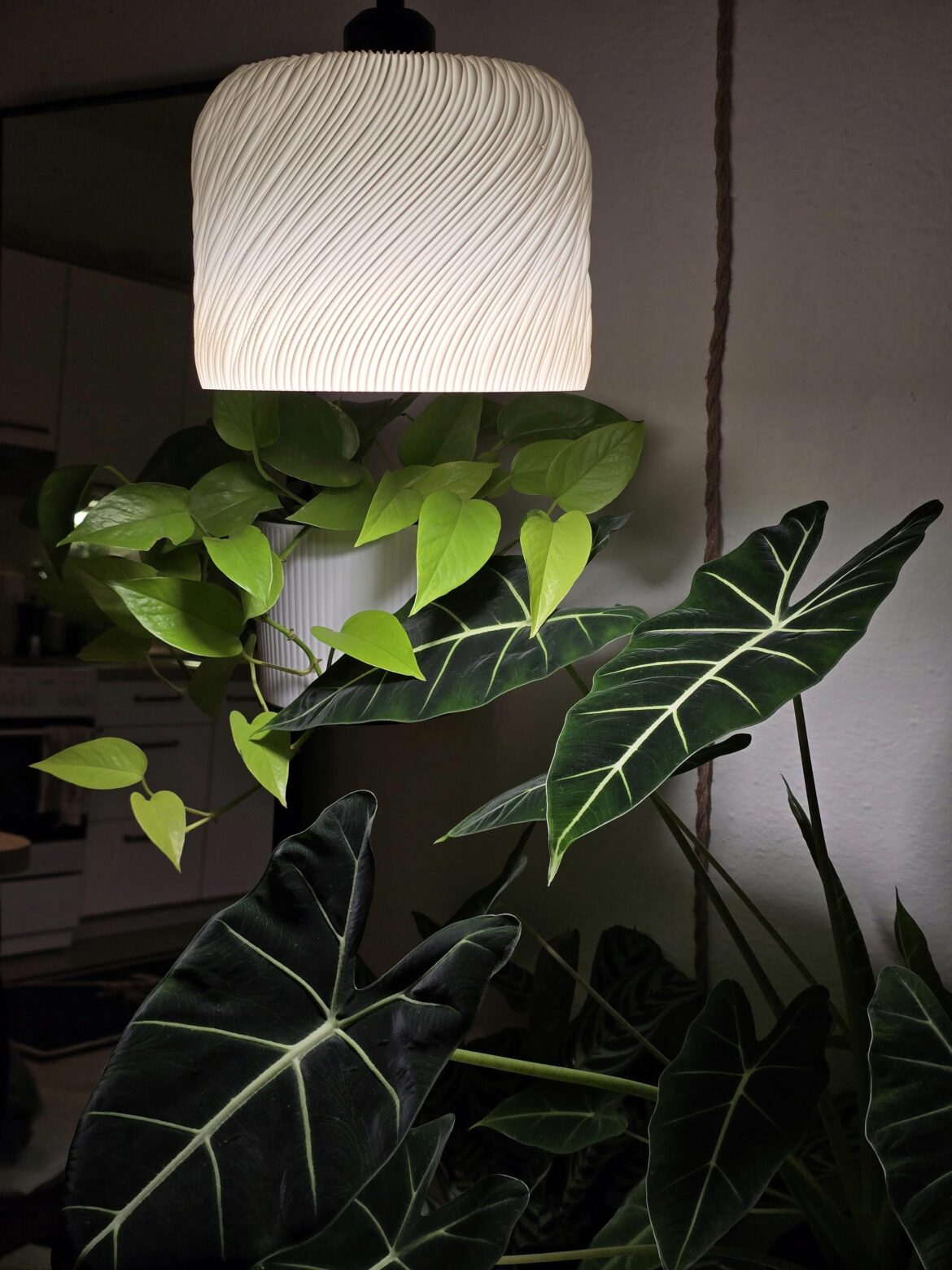 growlights can be such a vibe
