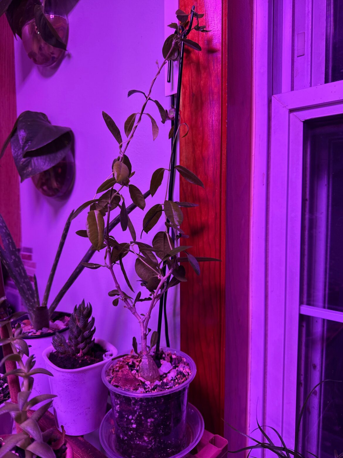 I’d please I’d please