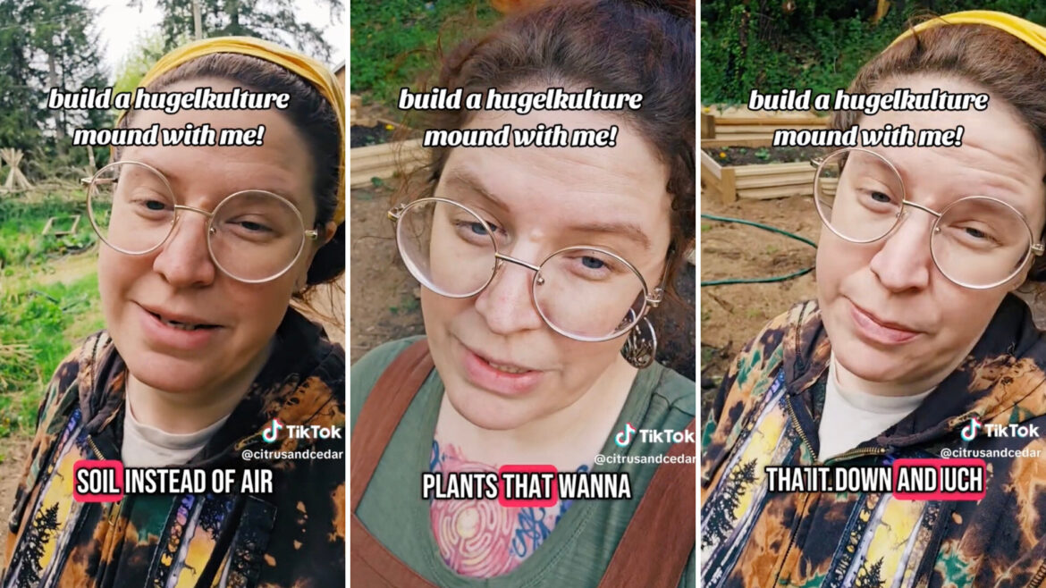 Gardener reveals simple, ancient technique for thriving plants: ‘I am a fan’ One clever gardener on TikTok shows how to create a Hügelkultur mound, a raised garden bed made out of natural materials.